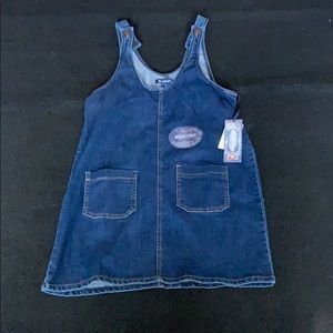 Blue spice dark wash jean dress